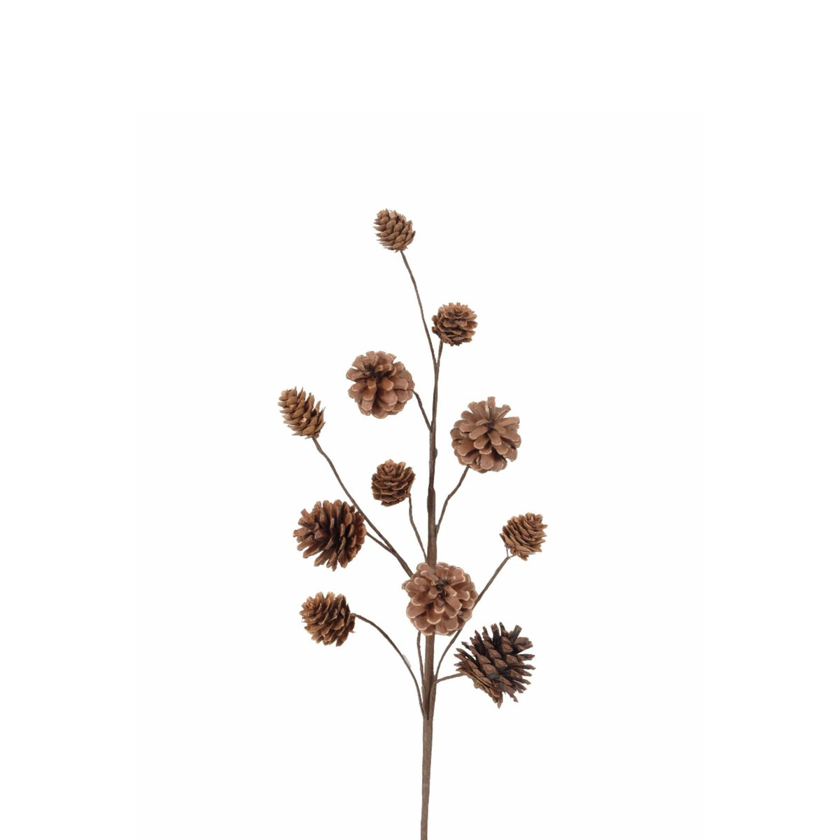 Pine Cone Spray