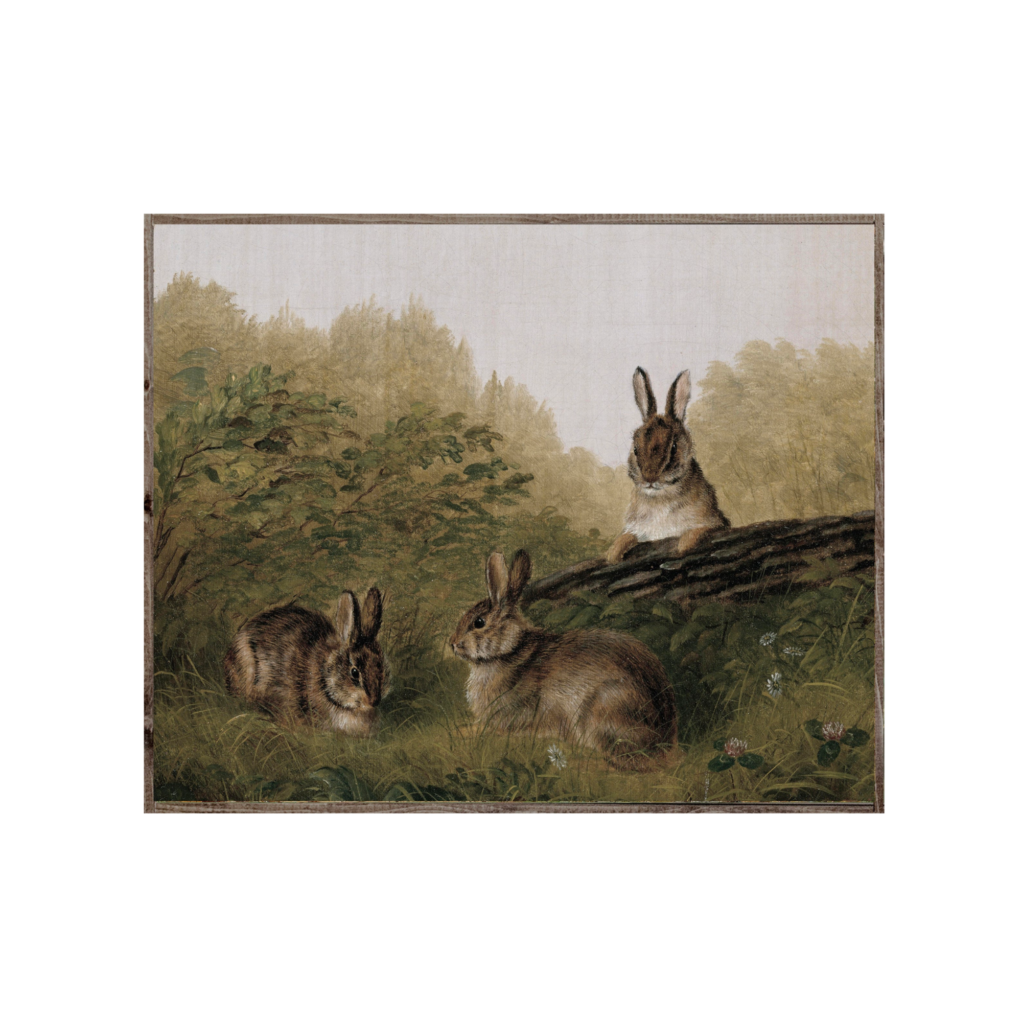 Bunny Vintage Print
