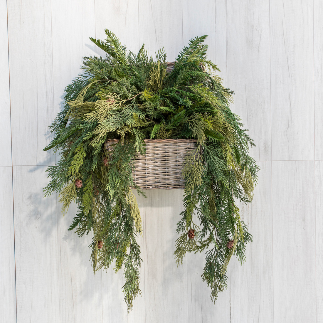 Cedar + Hemlock Hanging Vine