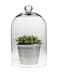 Classic Cloche
