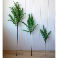 Cypress Pine Faux Stem