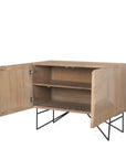 Darwin 2 Door Cabinet