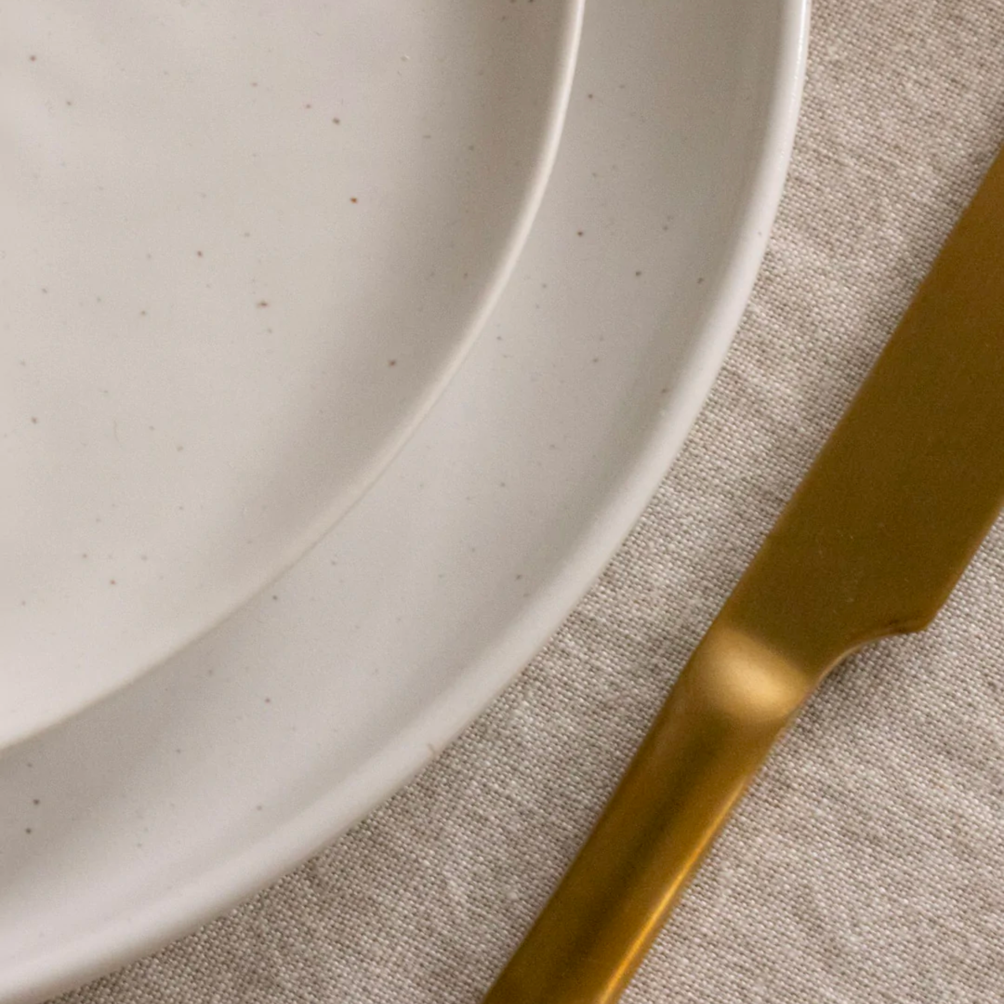Fable Dinner Plates