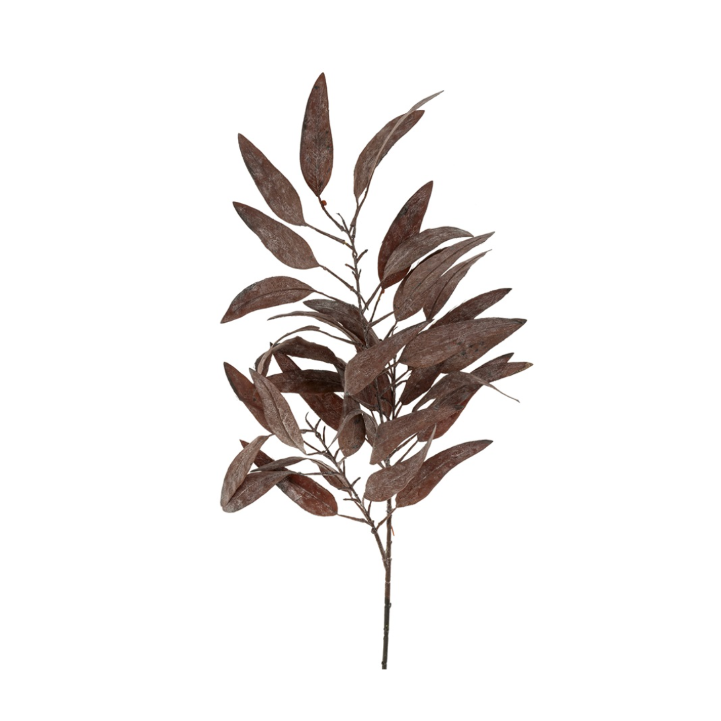 Dried Eucalyptus Stem | Purple