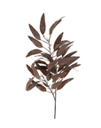 Dried Eucalyptus Stem | Purple