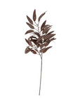 Dried Eucalyptus Stem | Purple