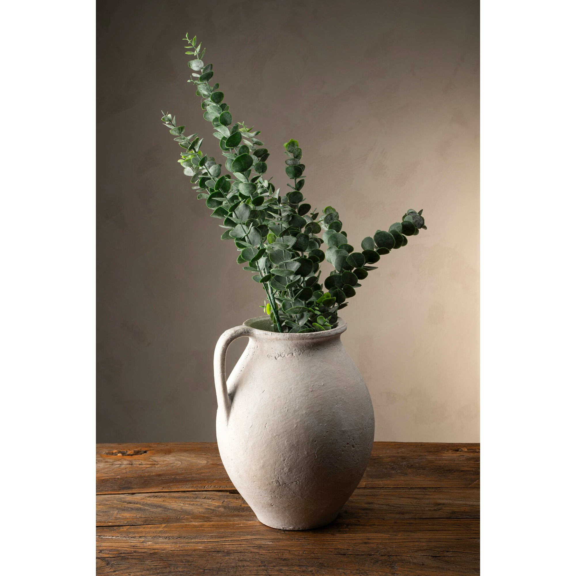 Eucalyptus Stems in a Vase