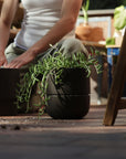 Fable The Planter | Granite Gray