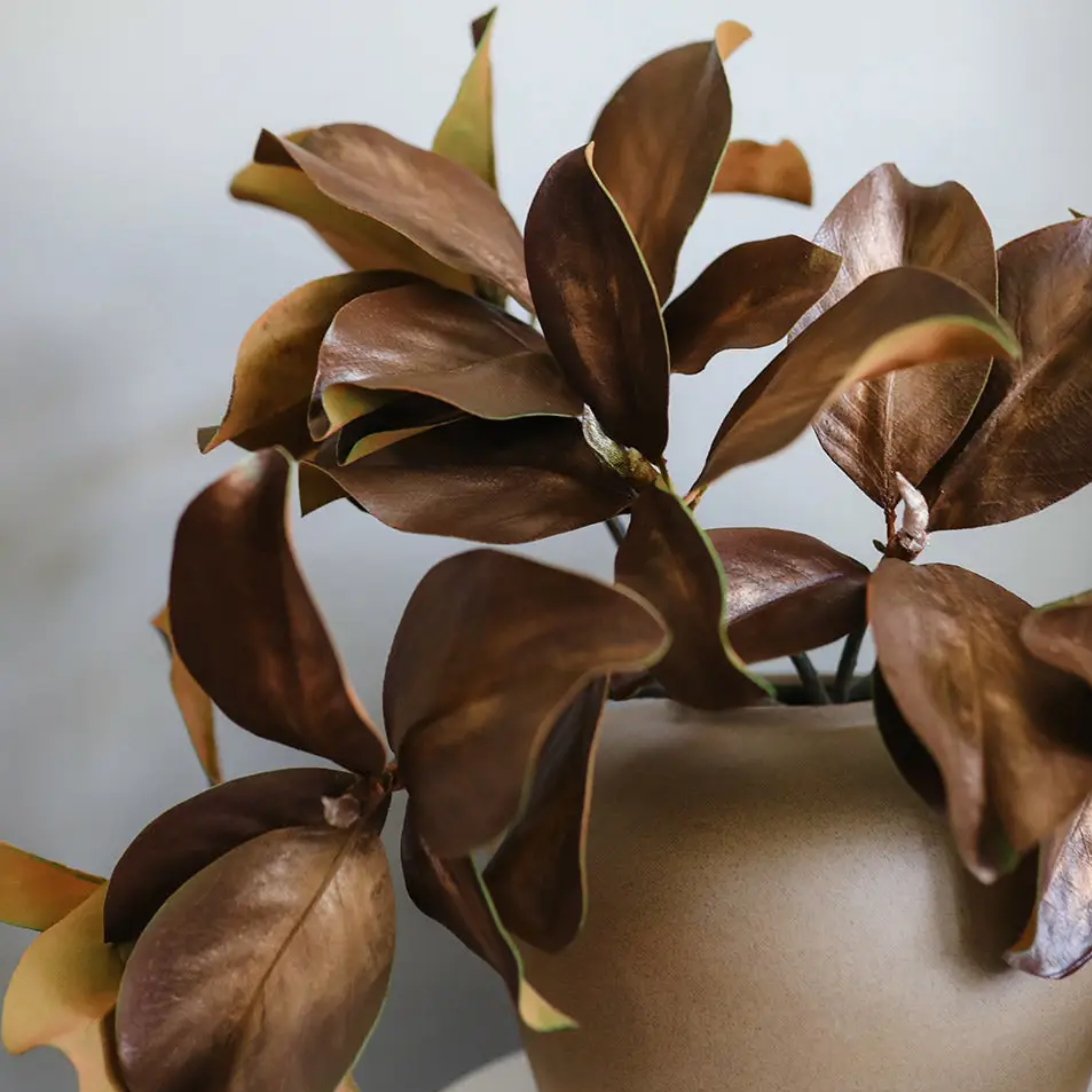 Natural Magnolia Leaf Spray
