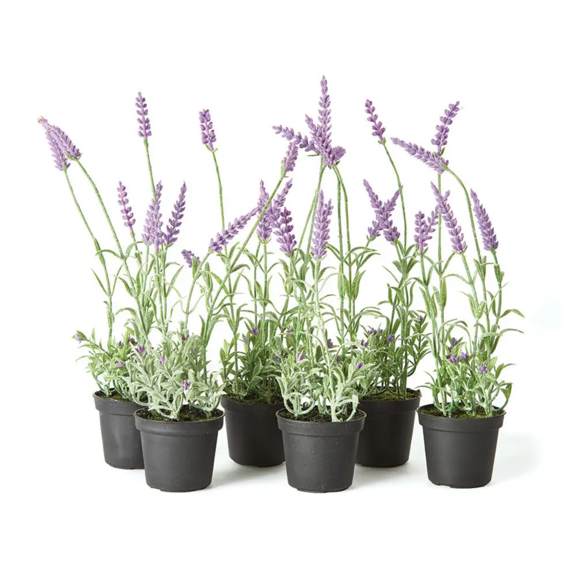 French Lavender Drop-In - 13&quot;