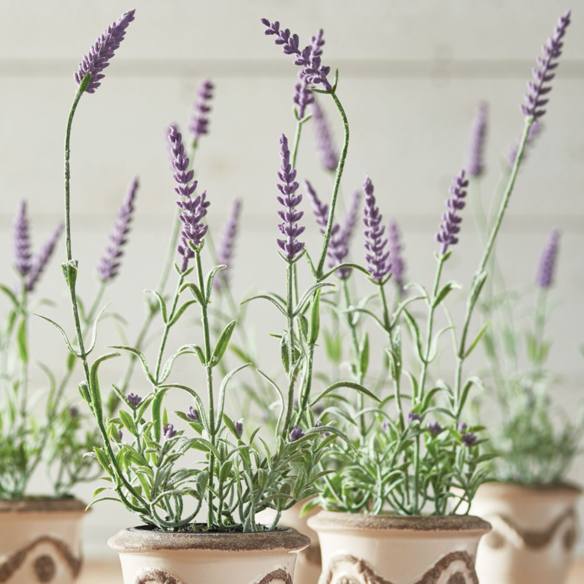 French Lavender Drop-In - 13&quot;
