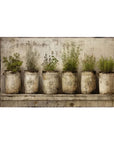 Herbs Vintage Print