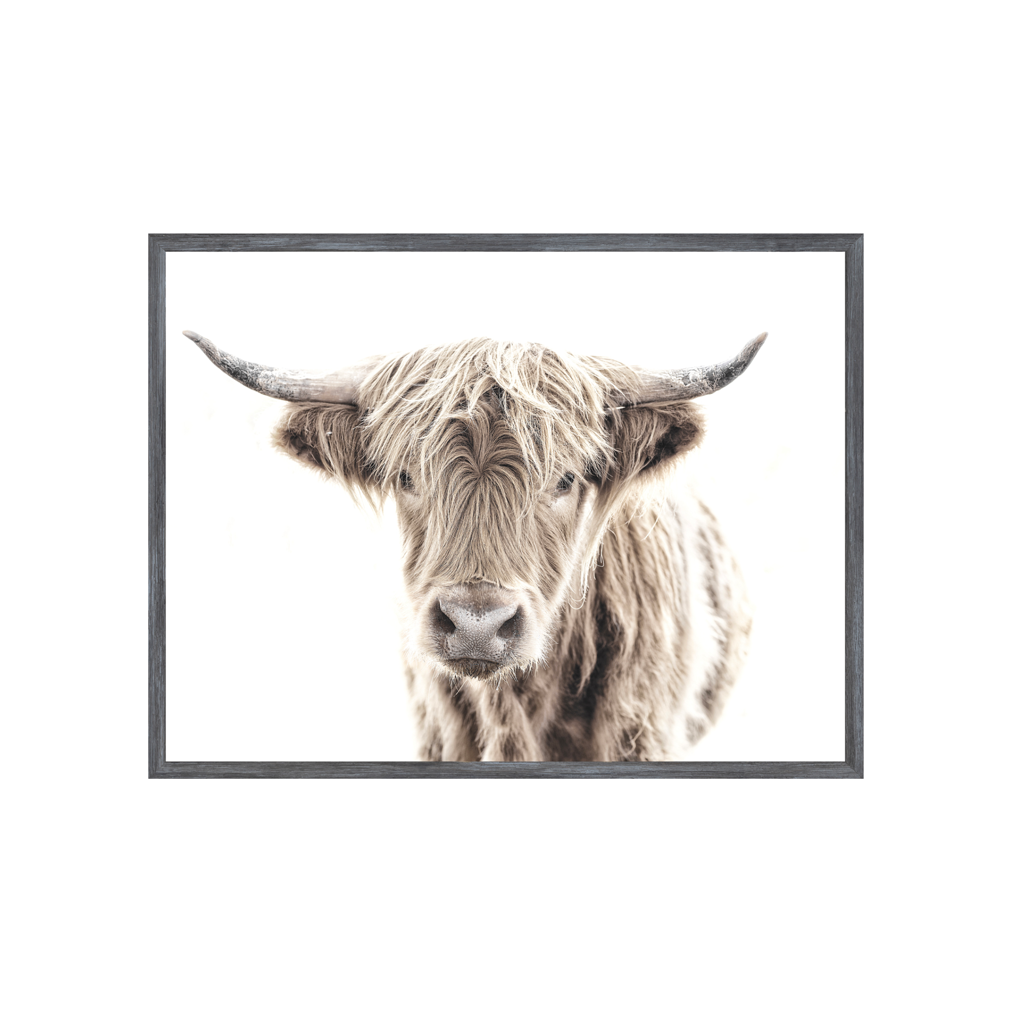Highland Cow - Charcoal Frame