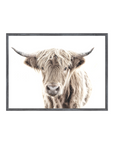 Highland Cow - Charcoal Frame