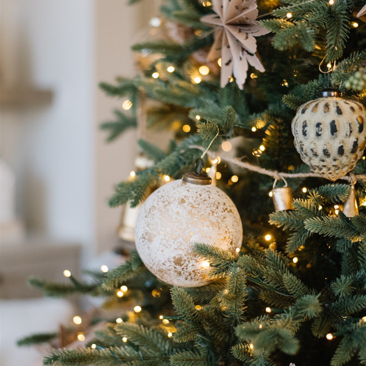 Holiday Tree Bundle | 9'