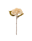 Hydrangea Floral Stem