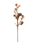 Autumn Nut Spray
