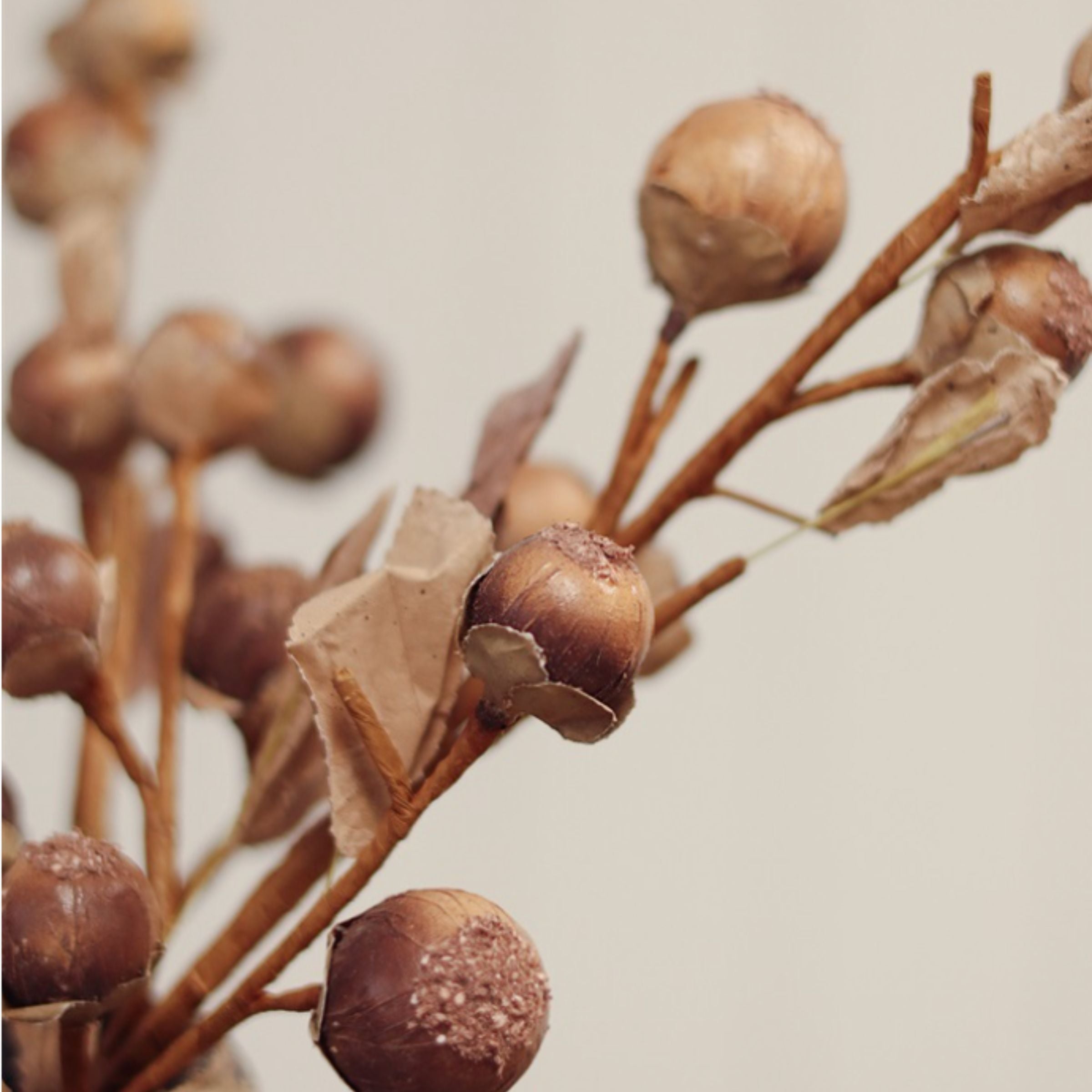 Autumn Nut Spray