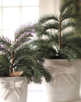 Bow Pot