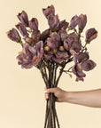 Magnolia Branch | Purple