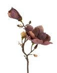 Magnolia Branch | Purple