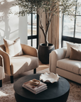 a living room after a design consultation