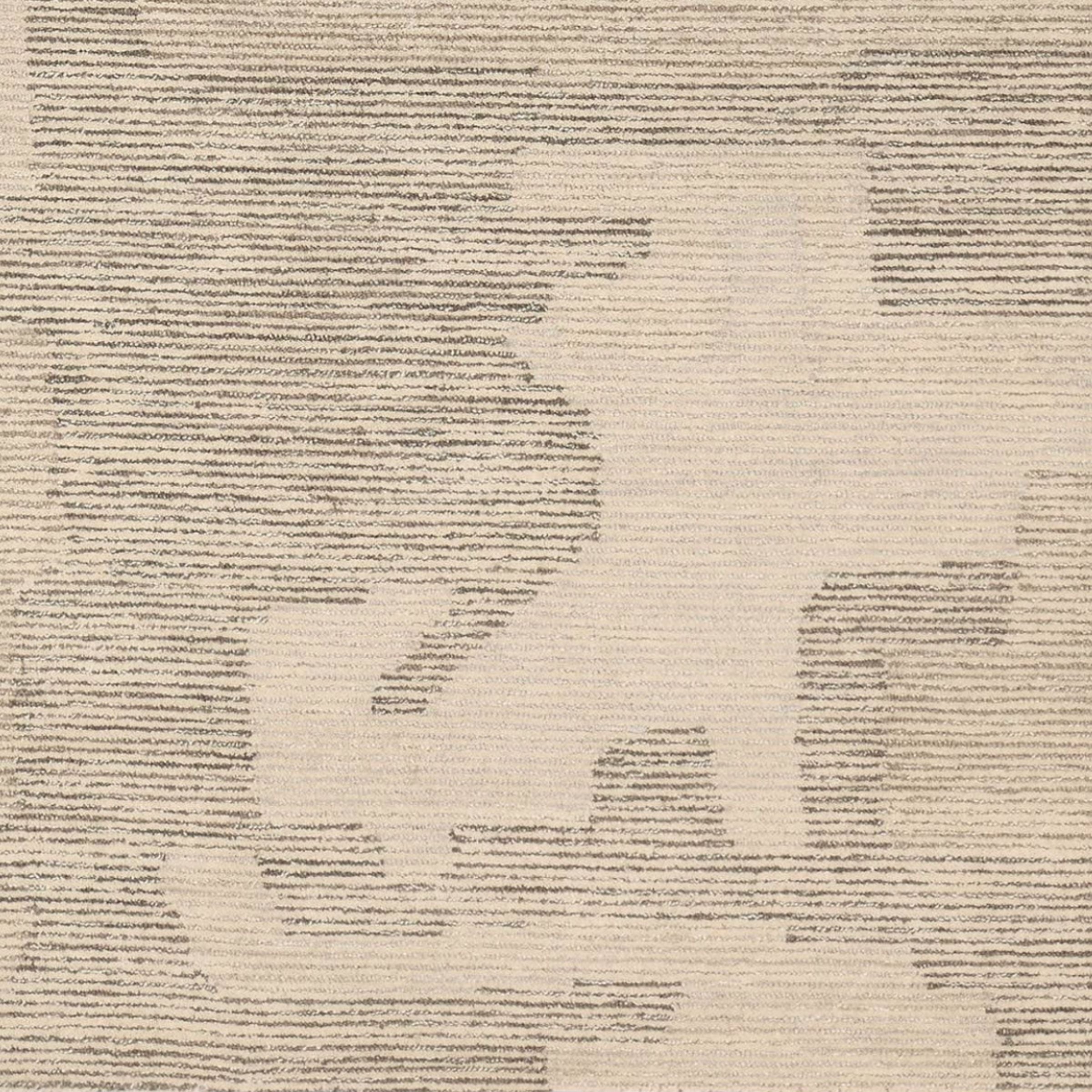 Labyrinth Rug | Gray/Tan