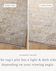 Loloi Alie Rug | Charcoal/Dove