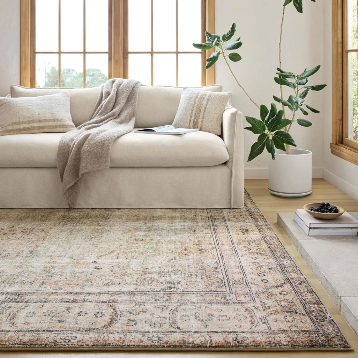 Loloi Margot Rug | Antique/Sage (Pattern 01)