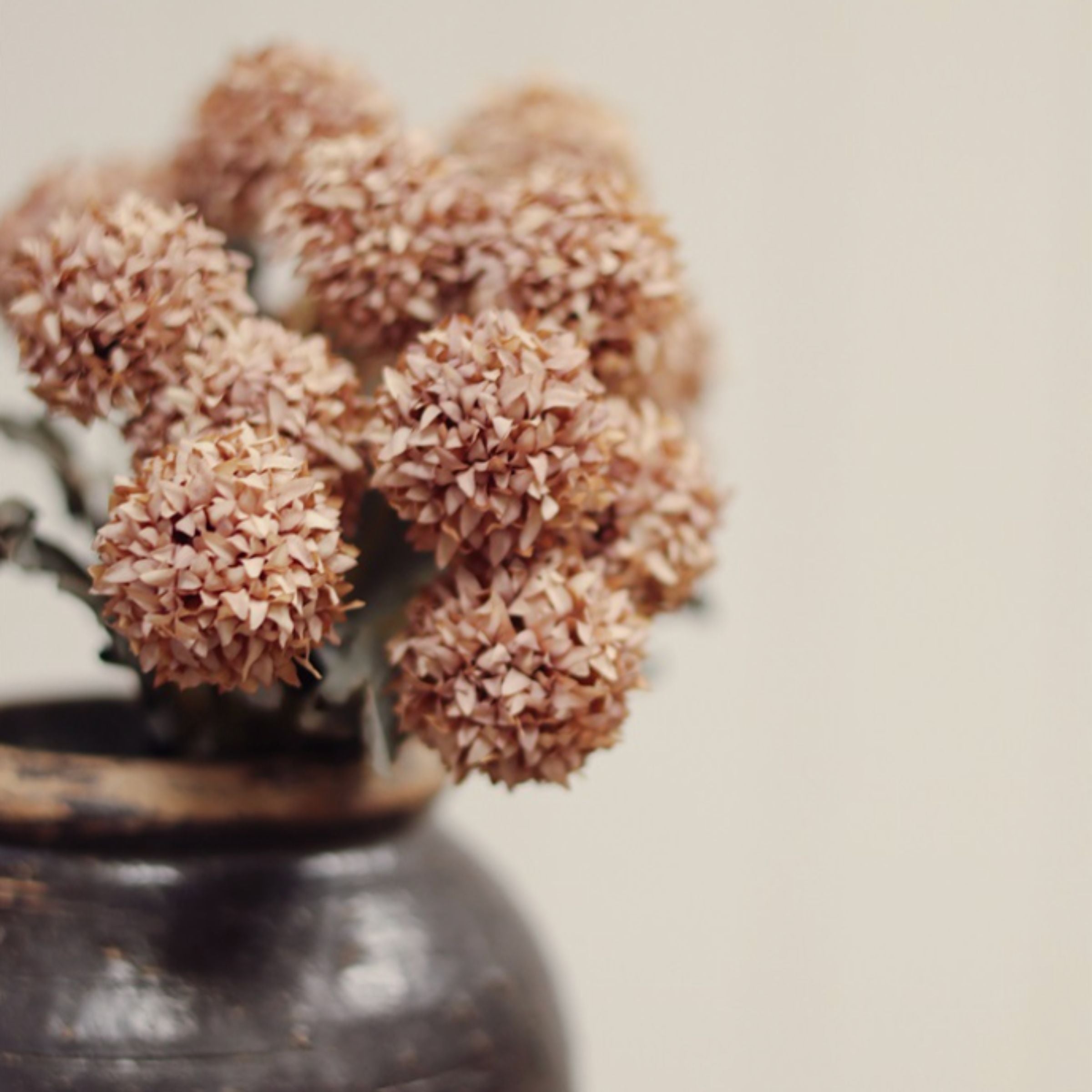 Morandi Bloom Bouquet