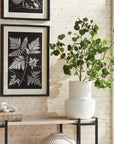 Darla Vase
