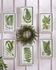 Fern Wreath