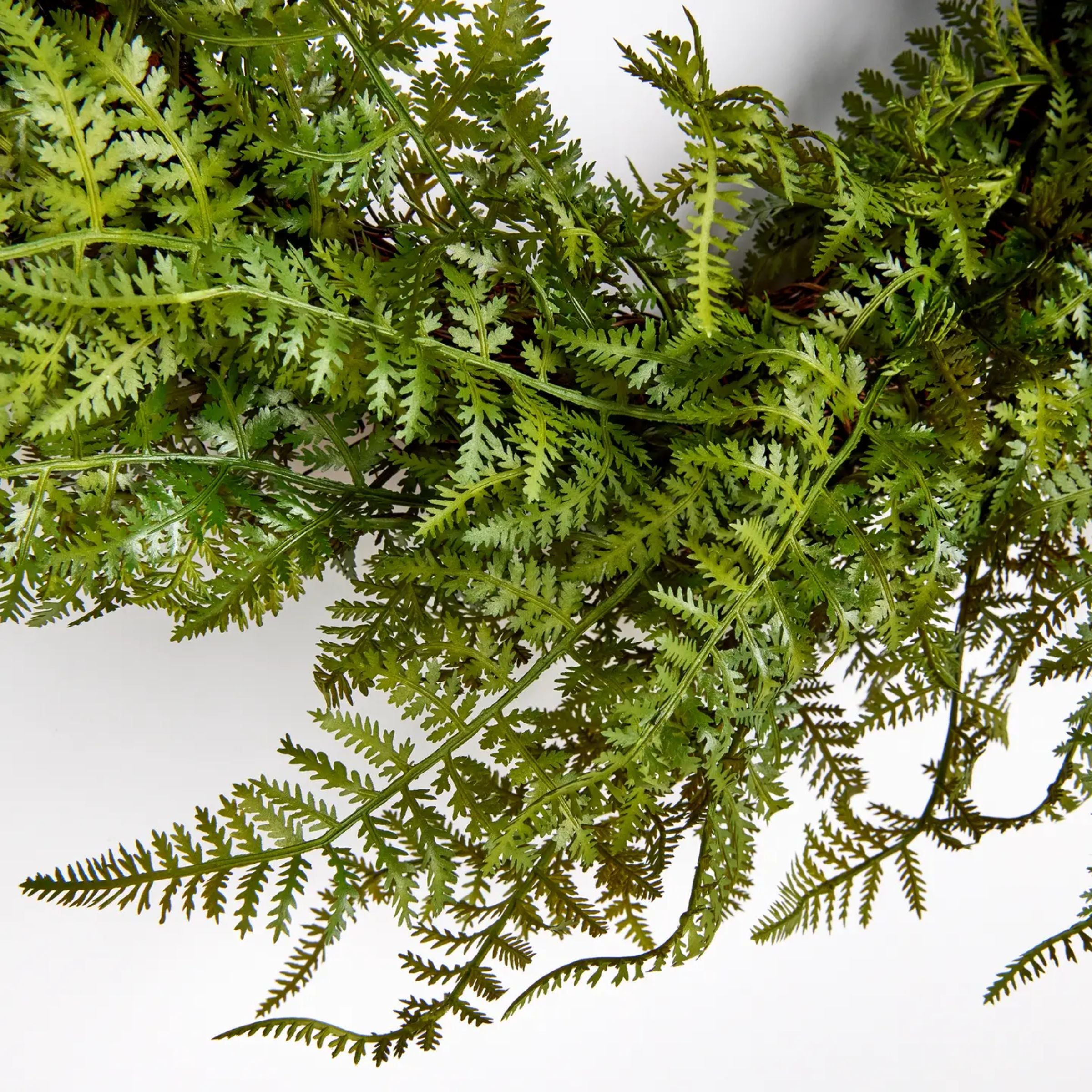 Fern Wreath