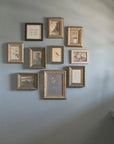 Bird Framed Antique Art
