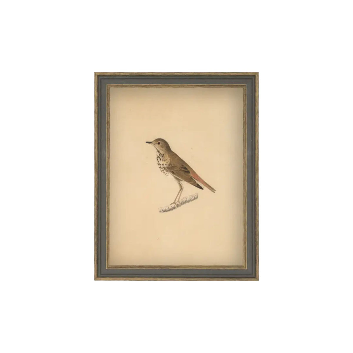 Bird Framed Antique Art