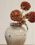 Pompon Dahlia Stem