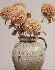 Pompon Dahlia Stem