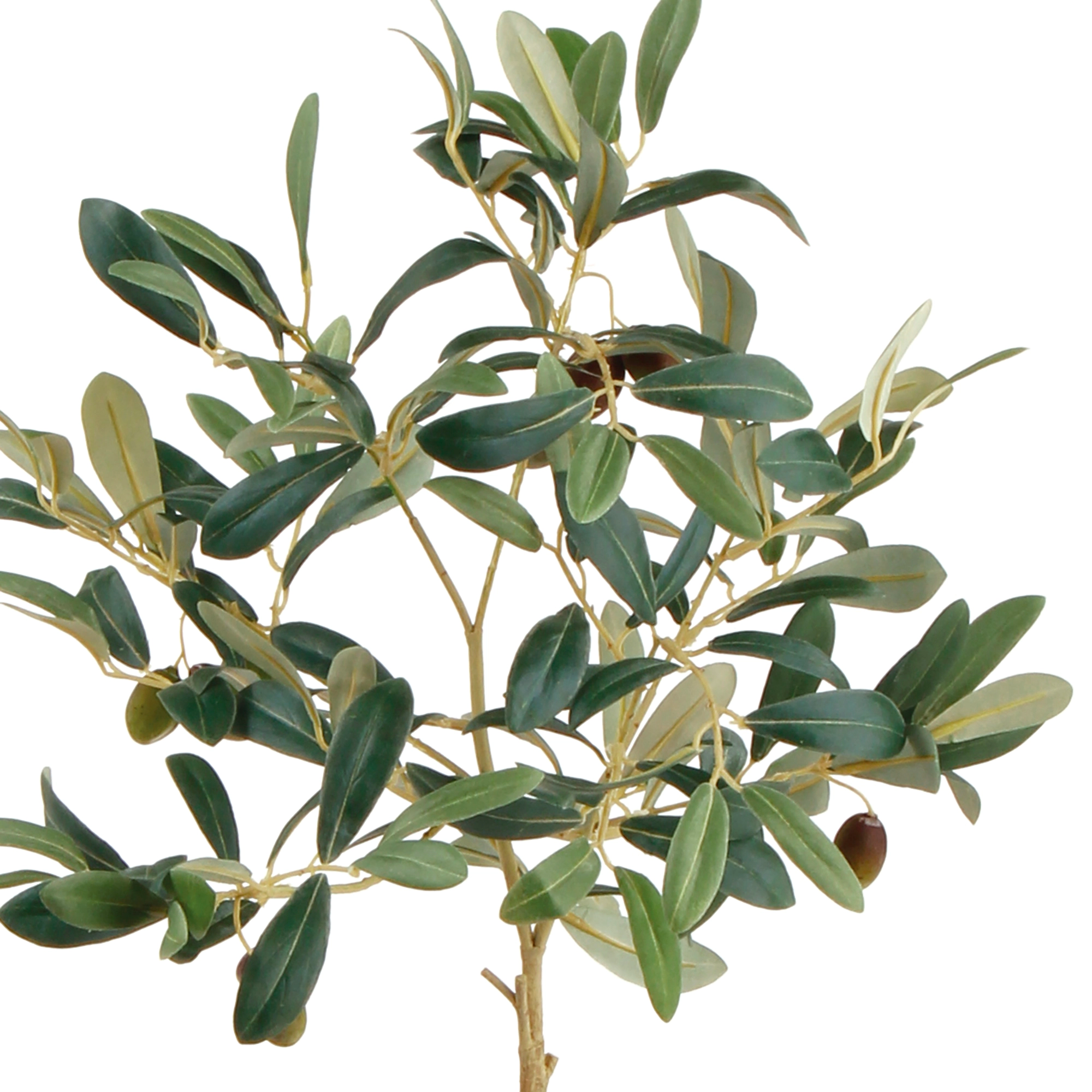 Potted Olive Tree | 19.5"