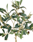 Potted Olive Tree | 19.5"