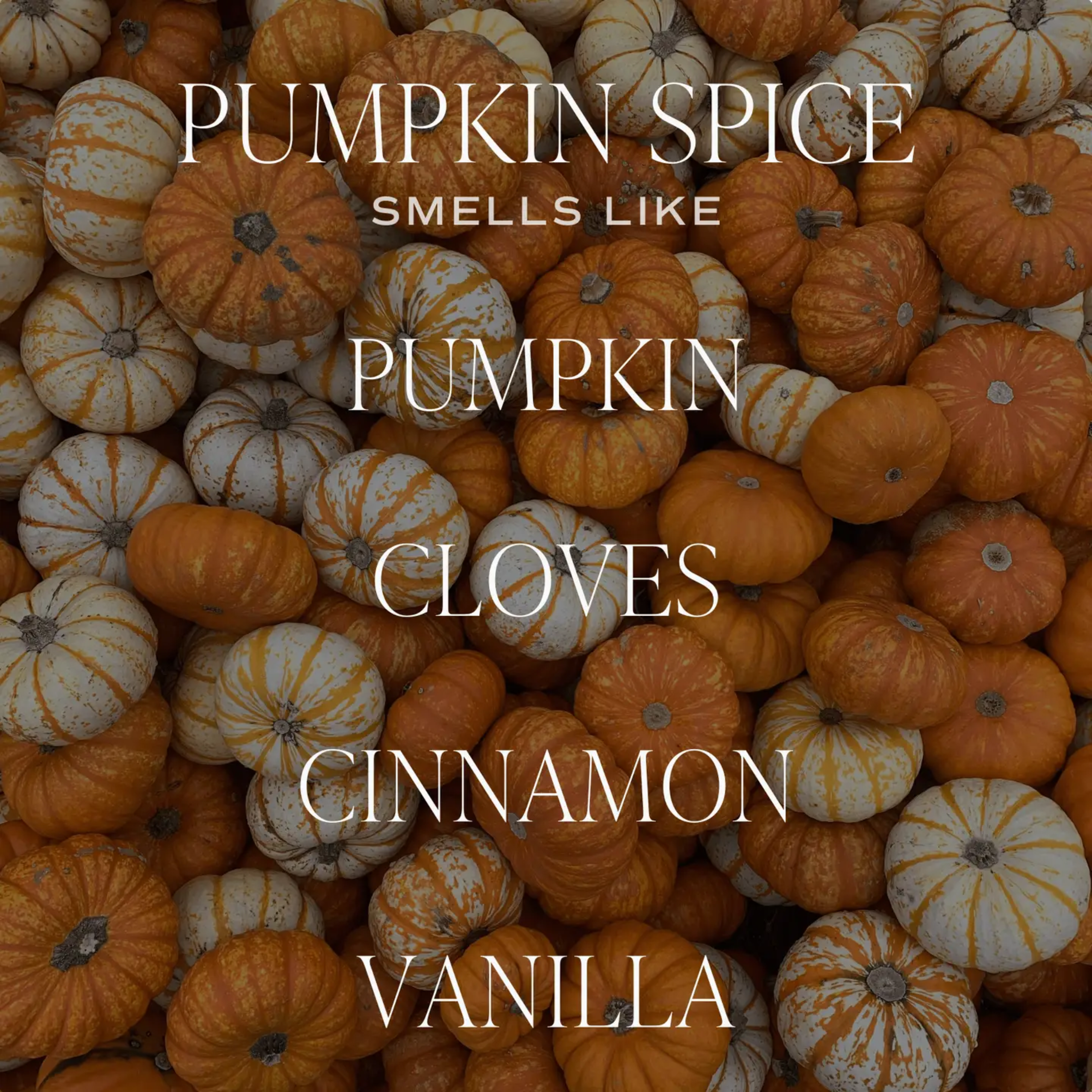 Pumpkin Spice Jar Candle