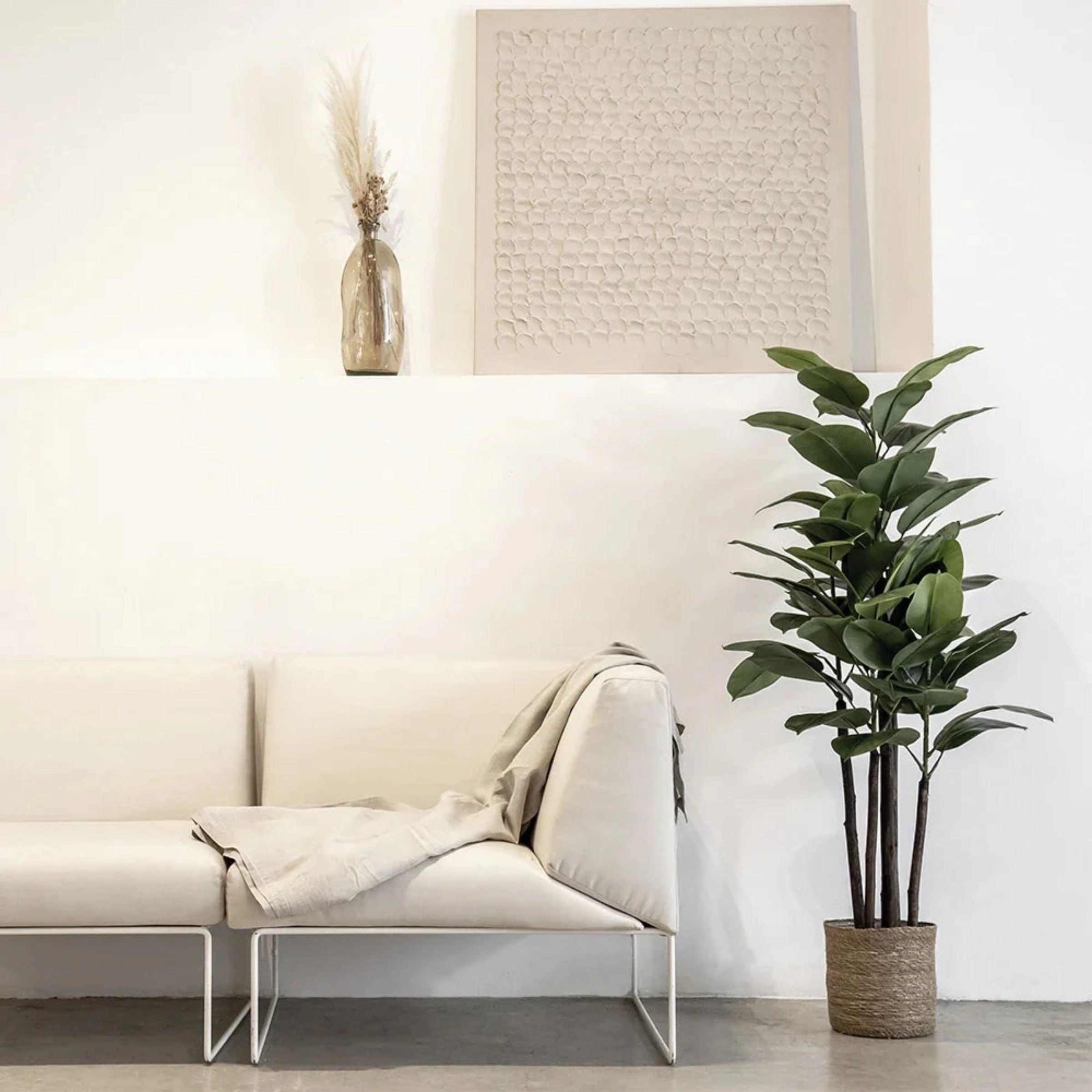 Rubber Plant