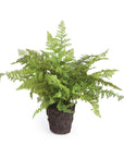 Soft Fern Drop-In