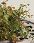 Soft Touch Baby Eucalyptus Wreath | Olive Green