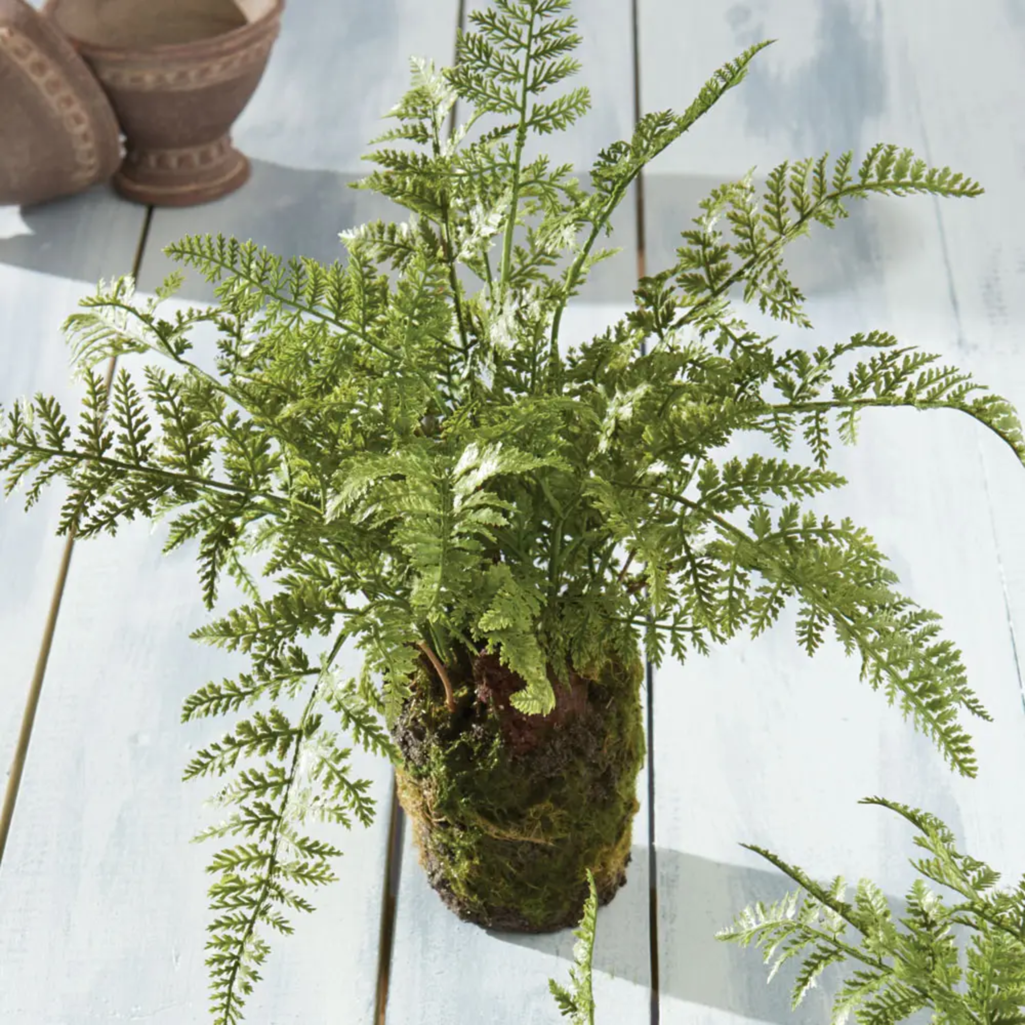Soft Fern Drop-In | 13&quot;
