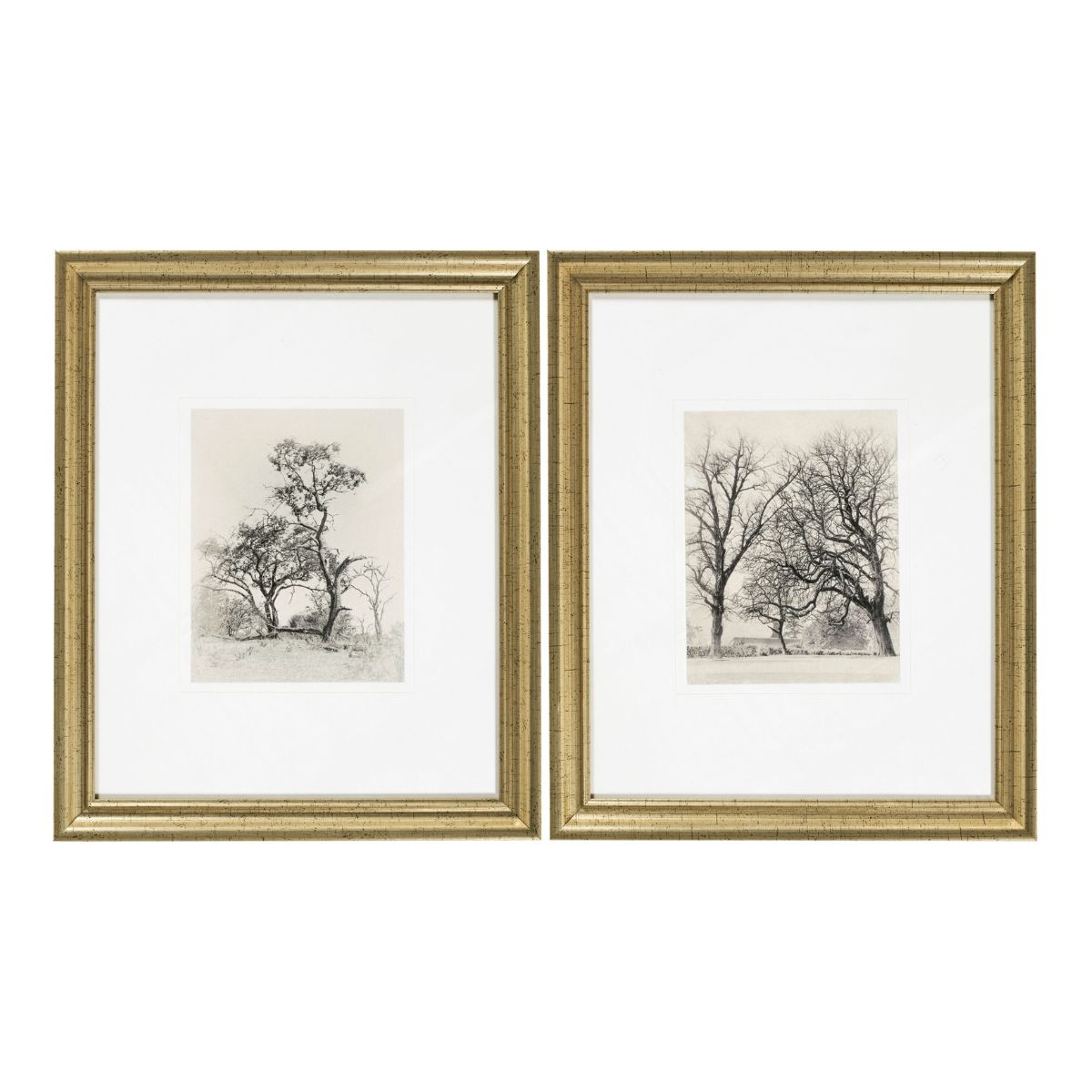 Coconino Framed Art