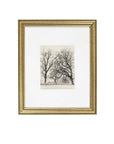 Coconino Framed Art