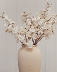 Sweet Pea Stem