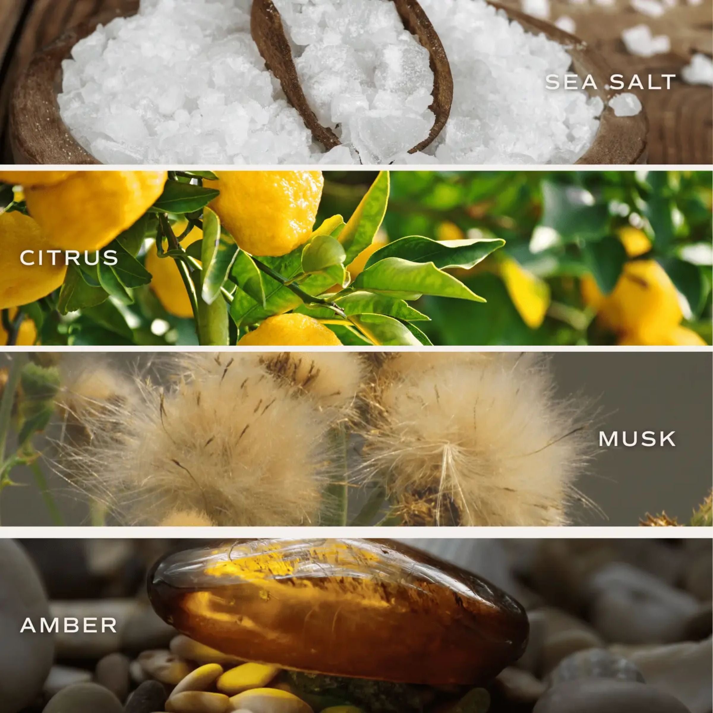 Salt + Sea Blue Reed Diffuser