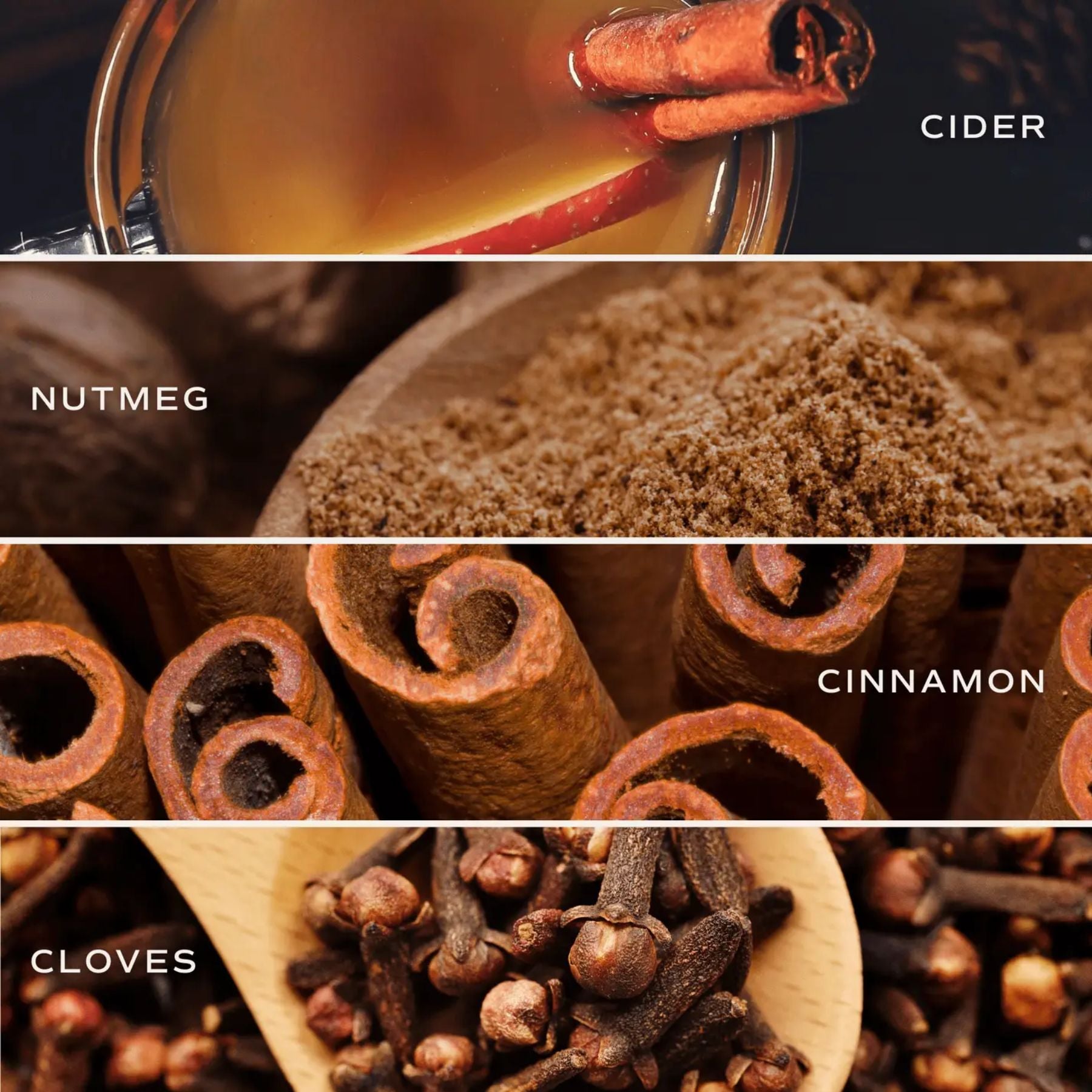 Hello Fall Amber Reed Diffuser