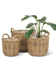 Terrence Basket